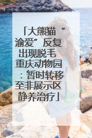 大熊猫“渝爱”反复出现脱毛 重庆动物园：暂时转移至非展示区静养治疗