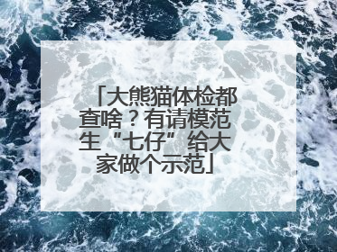 大熊猫体检都查啥？有请模范生“七仔”给大家做个示范