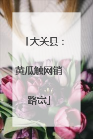 大关县：黄瓜触网销路宽