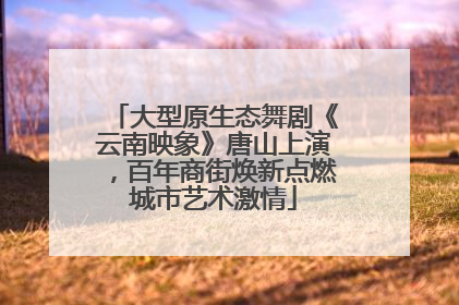 大型原生态舞剧《云南映象》唐山上演，百年商街焕新点燃城市艺术激情