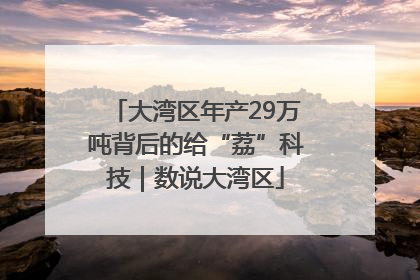 大湾区年产29万吨背后的给“荔”科技｜数说大湾区