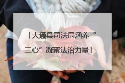 大通县司法局涵养“三心”凝聚法治力量