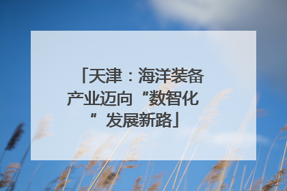 天津：海洋装备产业迈向“数智化”发展新路