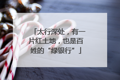 太行深处，有一片红土地，也是百姓的“绿银行”