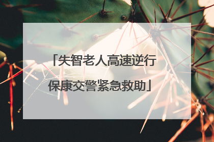 失智老人高速逆行 保康交警紧急救助