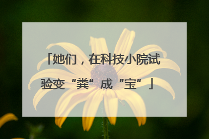 她们，在科技小院试验变“粪”成“宝”