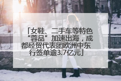 女鞋、二手车等特色“蓉品”加速出海，成都经贸代表团欧洲中东行签单逾3.7亿元