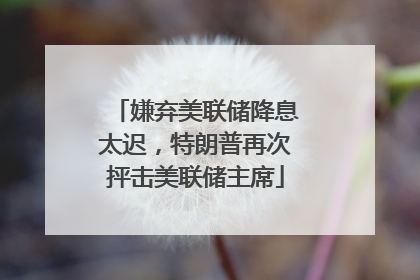嫌弃美联储降息太迟，特朗普再次抨击美联储主席