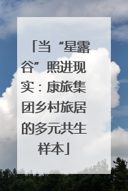 当“星露谷”照进现实：康旅集团乡村旅居的多元共生样本