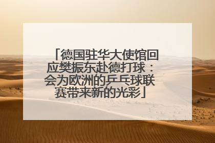 德国驻华大使馆回应樊振东赴德打球：会为欧洲的乒乓球联赛带来新的光彩