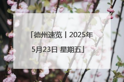 德州速览丨2025年5月23日 星期五