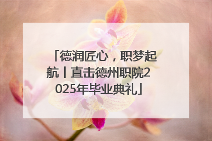 德润匠心，职梦起航丨直击德州职院2025年毕业典礼