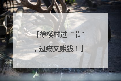 徐楼村过“节”，过瘾又赚钱！