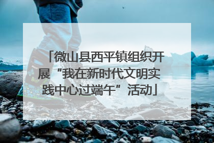 微山县西平镇组织开展“我在新时代文明实践中心过端午”活动