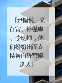 尹锡悦、文在寅、朴槿惠、李明博，他们纷纷出面支持各自阵营候选人