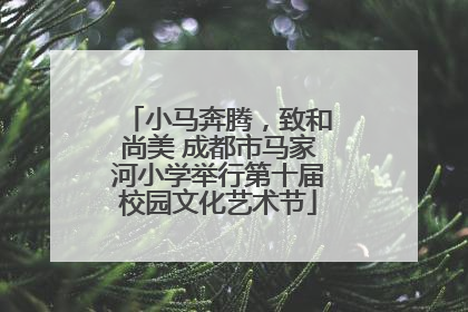 小马奔腾，致和尚美 成都市马家河小学举行第十届校园文化艺术节