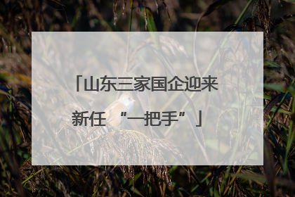 山东三家国企迎来新任 “一把手”