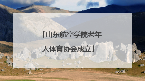 山东航空学院老年人体育协会成立