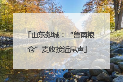 山东郯城：“鲁南粮仓”麦收接近尾声