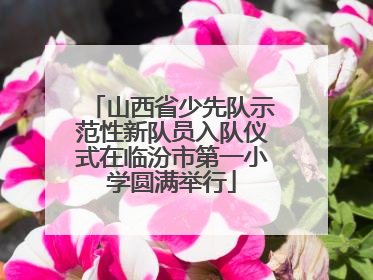 山西省少先队示范性新队员入队仪式在临汾市第一小学圆满举行
