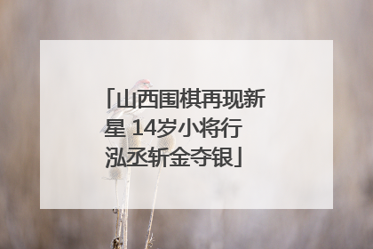 山西围棋再现新星 14岁小将行泓丞斩金夺银