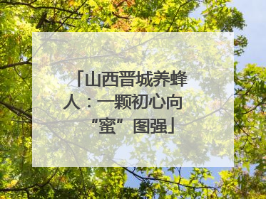 山西晋城养蜂人：一颗初心向“蜜”图强