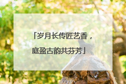 岁月长传匠艺香，庭盈古韵共芬芳