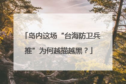 岛内这场“台海防卫兵推”为何越描越黑？