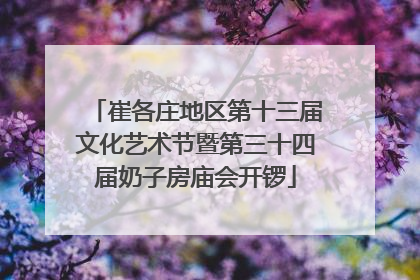 崔各庄地区第十三届文化艺术节暨第三十四届奶子房庙会开锣