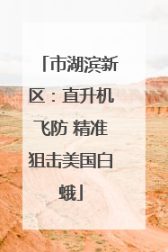 市湖滨新区：直升机飞防 精准狙击美国白蛾