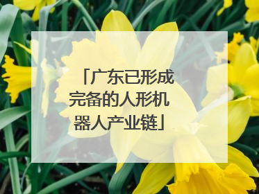 广东已形成完备的人形机器人产业链