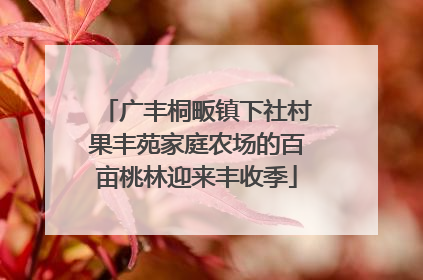 广丰桐畈镇下社村果丰苑家庭农场的百亩桃林迎来丰收季