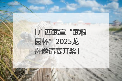 广西武宣“武粮园杯”2025龙舟邀请赛开桨