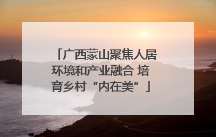 广西蒙山聚焦人居环境和产业融合 培育乡村“内在美”