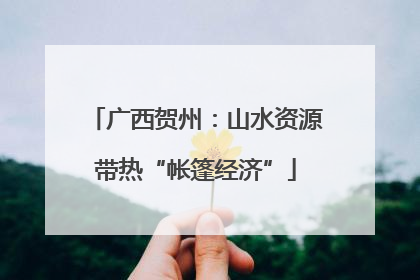 广西贺州：山水资源带热“帐篷经济”