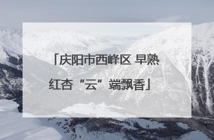 庆阳市西峰区 早熟红杏“云”端飘香
