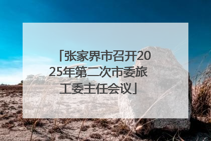 张家界市召开2025年第二次市委旅工委主任会议