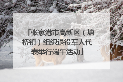 张家港市高新区（塘桥镇）组织退役军人代表举行端午活动