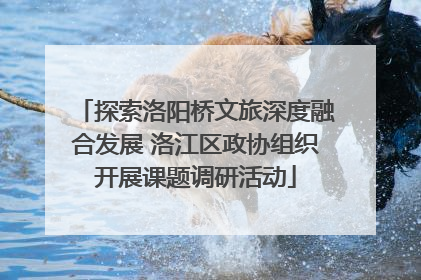 探索洛阳桥文旅深度融合发展 洛江区政协组织开展课题调研活动