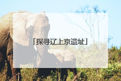 探寻辽上京遗址