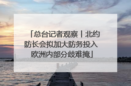 总台记者观察丨北约防长会拟加大防务投入 欧洲内部分歧难掩