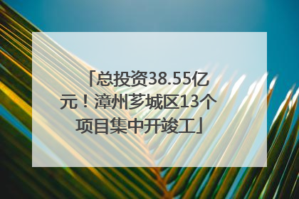总投资38.55亿元！漳州芗城区13个项目集中开竣工
