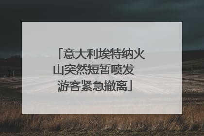 意大利埃特纳火山突然短暂喷发 游客紧急撤离