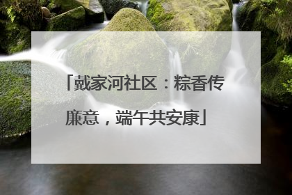 戴家河社区：粽香传廉意，端午共安康