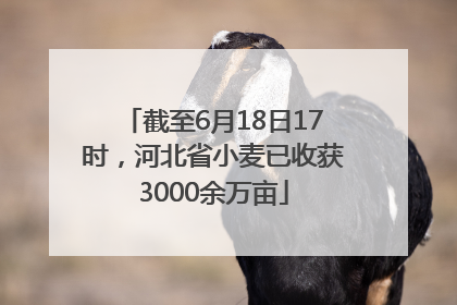 截至6月18日17时，河北省小麦已收获3000余万亩