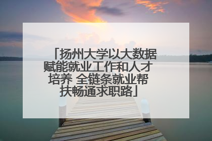 扬州大学以大数据赋能就业工作和人才培养 全链条就业帮扶畅通求职路