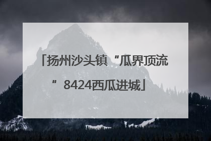 扬州沙头镇“瓜界顶流”8424西瓜进城