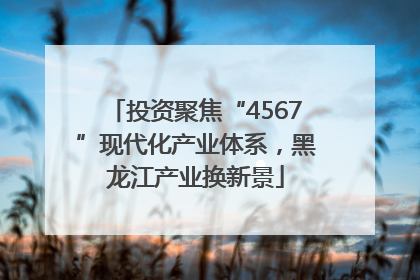 投资聚焦“4567”现代化产业体系，黑龙江产业换新景