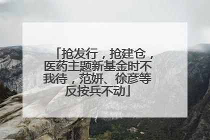 抢发行，抢建仓，医药主题新基金时不我待，范妍、徐彦等反按兵不动