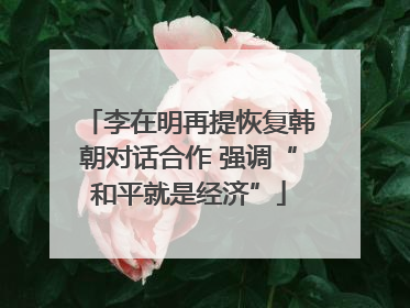 李在明再提恢复韩朝对话合作 强调“和平就是经济”
